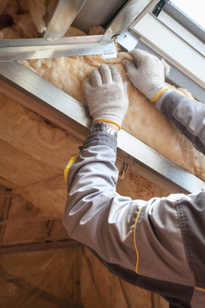 Best Insulation Installation Services in Marsing, ID